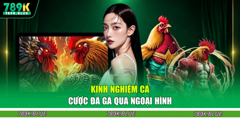 Kinh nghiệm cá cược đá gà qua ngoại hình